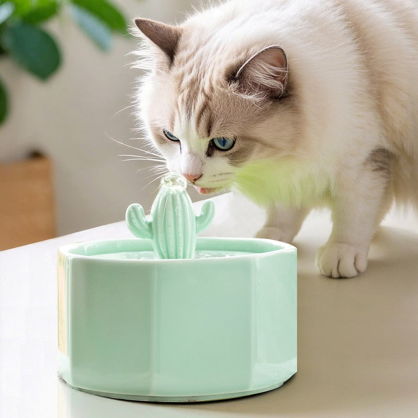 Happy & Polly 50oz/1.5L Cactus Style Cat Water Fountain
