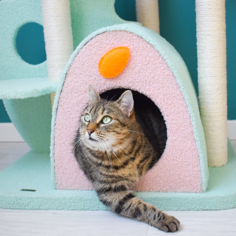 HP Most Popular Cat Tree