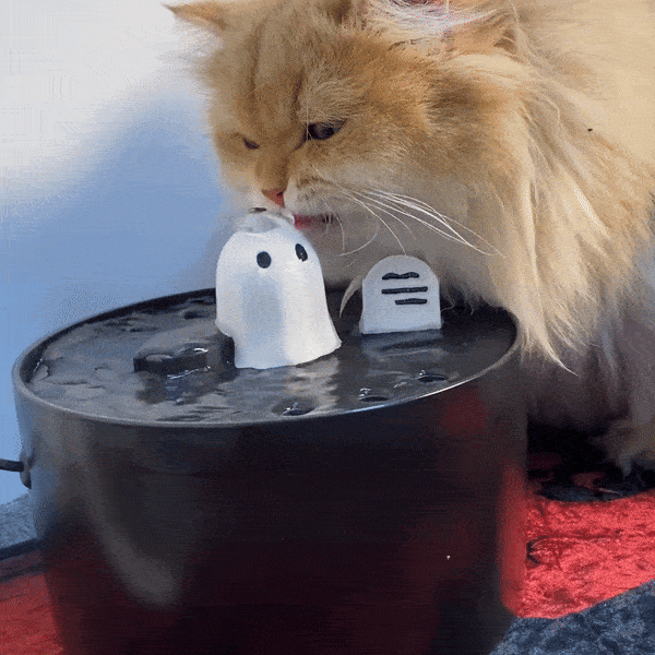 Happy & Polly Ghost Drinking Fountain
