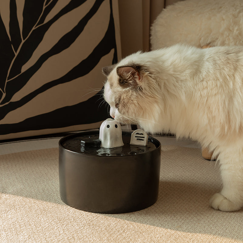 Happy & Polly Ghost Drinking Fountain